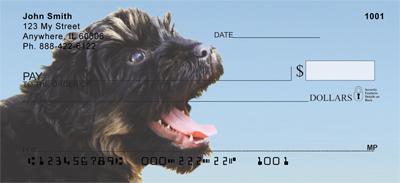 Portuguese Water Dogs