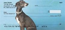 Elegant Whippets