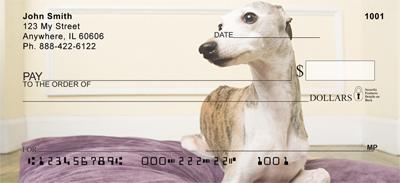 Elegant Whippets