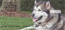 Alaskan Malamutes