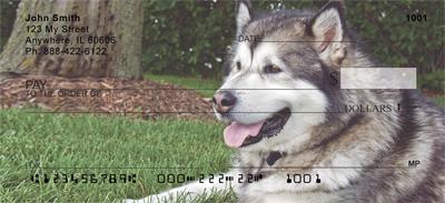 Alaskan Malamutes