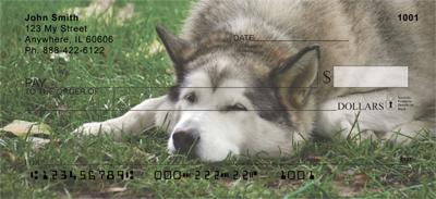 Alaskan Malamutes