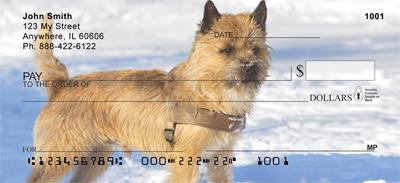 Cairn Terriers