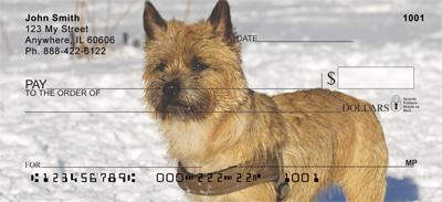 Cairn Terriers