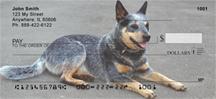 Grey Australian Cattle Dogs
