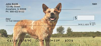 Tan Australian Cattle Dogs