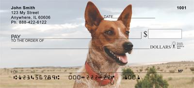 Tan Australian Cattle Dogs