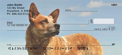 Tan Australian Cattle Dogs