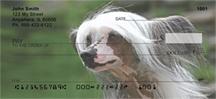 Chinese Crested