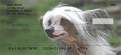 Chinese Crested