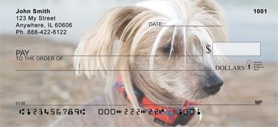 Chinese Crested