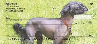 Chinese Crested On The Grass