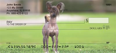 Chinese Crested On The Grass