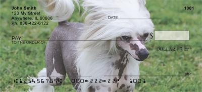 Chinese Crested On The Grass