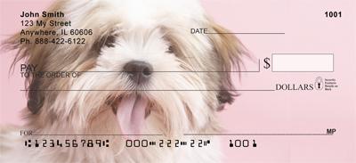 Cute Lhasa Apsos