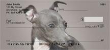 Italian Greyhounds