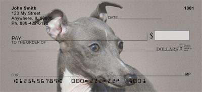 Italian Greyhounds