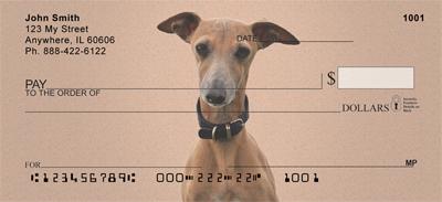 Italian Greyhounds