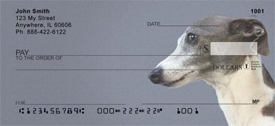 Italian Greyhounds