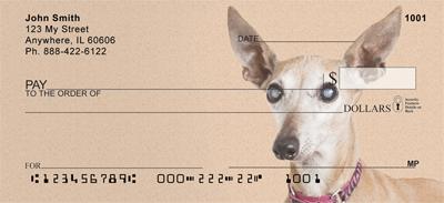 Italian Greyhounds