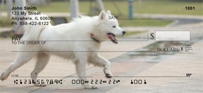 Samoyeds