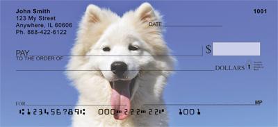 Samoyed Puppies