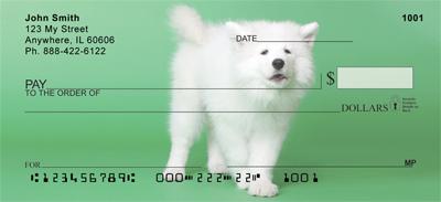 Samoyed Puppies