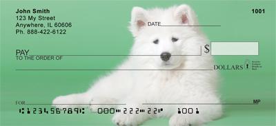 Samoyed Puppies