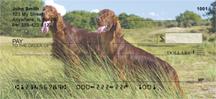Irish Setters Outdoors