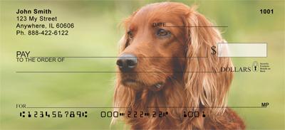 Irish Setters Outdoors