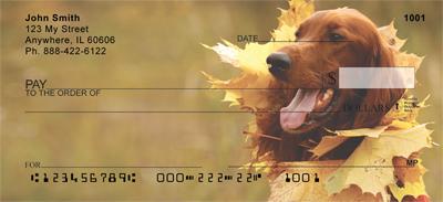 Irish Setters Outdoors