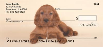 Irish Setter Pups