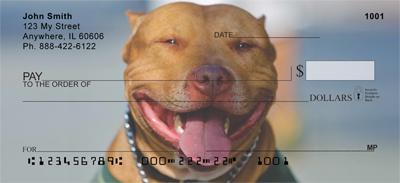 American Staffordshire Terriers