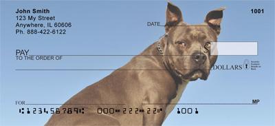 American Staffordshire Terriers