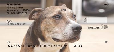 American Staffordshire Terriers