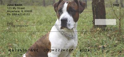 American Staffordshire Outdoors