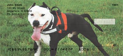 American Staffordshire Outdoors