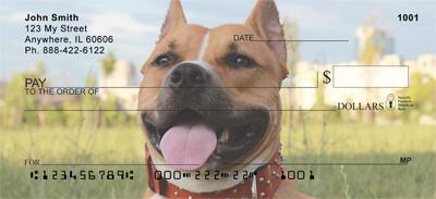 American Staffordshire Outdoors
