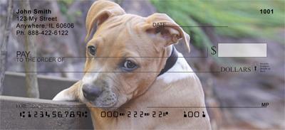 American Staffordshire Pups