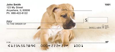 American Staffordshire Pups