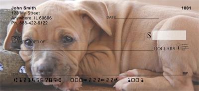 American Staffordshire Pups