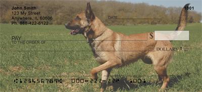 Belgian Malinois