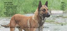 Belgian Malinois At The River