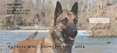 Belgian Malinois At The River