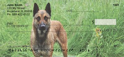 Belgian Malinois At The River