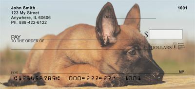 Belgian Malinois Puppies