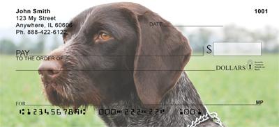 German Wirehaired Pointer