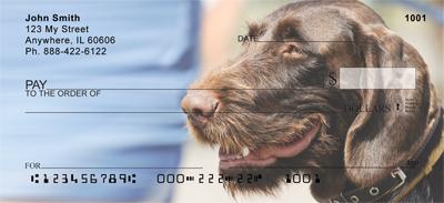 German Wirehaired Pointer