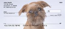 Brussels Griffon
