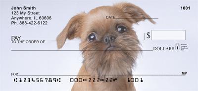 Brussels Griffon